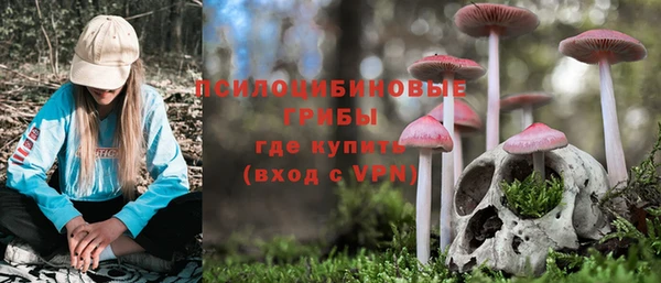 амфетамин Кинешма