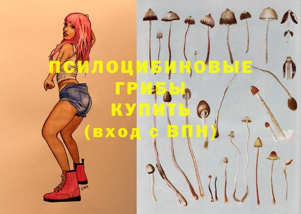амф Киреевск