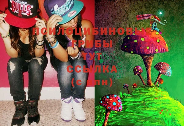 винт Киренск