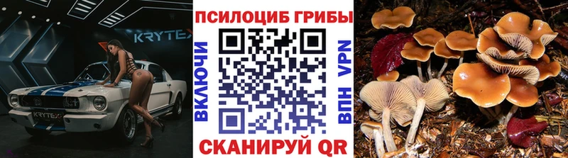 Галлюциногенные грибы прущие грибы Купить где Ирбит
